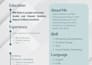 copy, clone, design, redesign website using wordpress, elementor as a dev